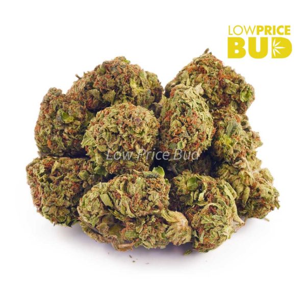 Buy Berry White (AA) online Canada