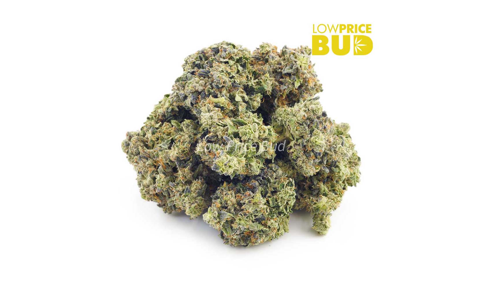 buy weed online Bruce Banner strain. Bruce Banner strain Review.