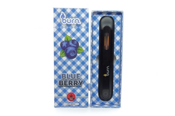 Buy Burn Extracts – Mega Sized Disposable Pens 2ml online Canada
