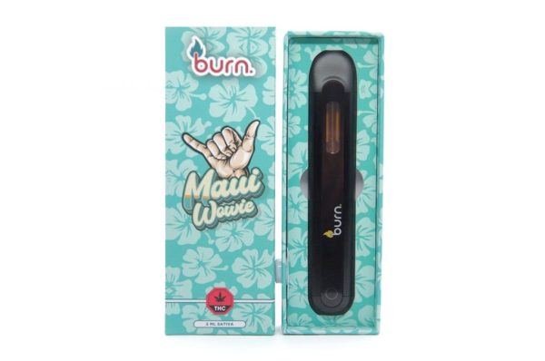 Buy Burn Extracts – Mega Sized Disposable Pens 2ml online Canada