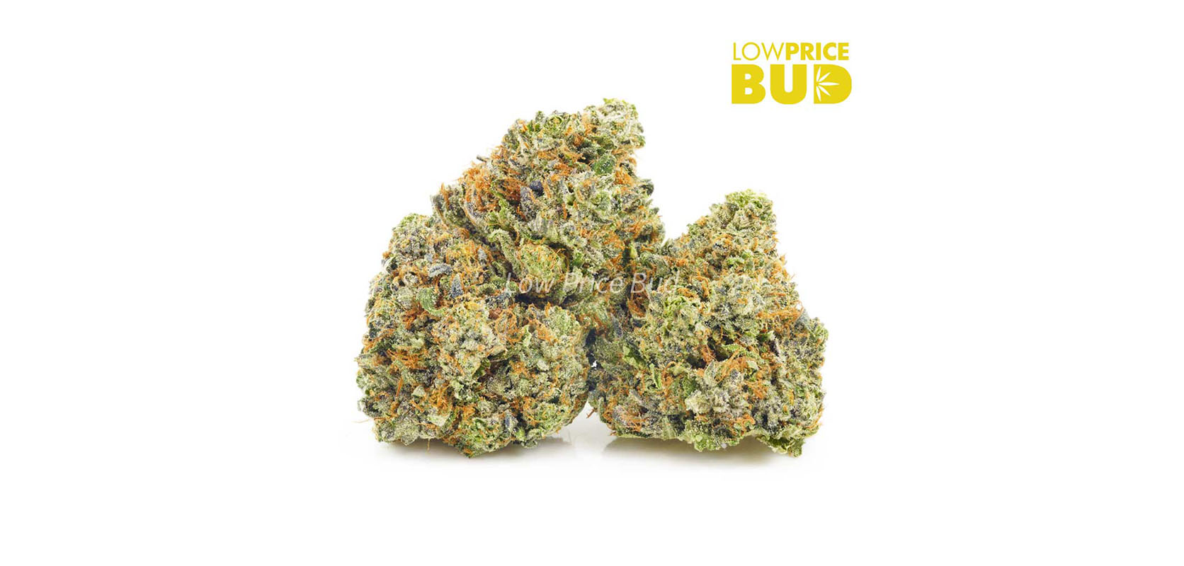Rainbow Driver buds and popcorn cannabis from online dispensary Low Price Bud.