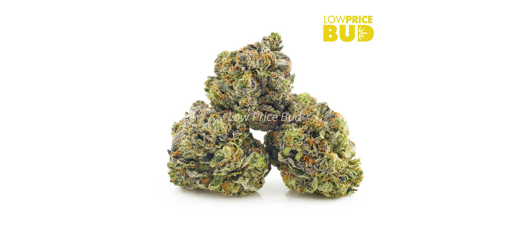 Best Indica strains for sleep include this Death Bubba strain AAAA weed from low price bud online dispensary in Canada. But weed online.