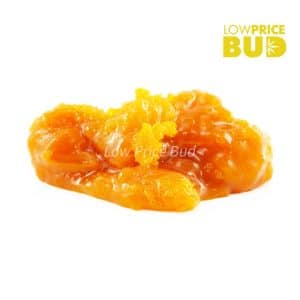 Caviar – Durban Poison Buy Caviar – Durban Poison online Canada