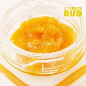 Caviar – Durban Poison Buy Caviar – Durban Poison online Canada