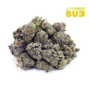 Blue Venom (AAAA) – Popcorn Nugs Buy Blue Venom (AAAA) – Popcorn Nugs online Canada