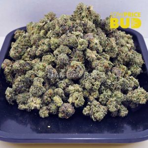 Blue Venom (AAAA) – Popcorn Nugs Buy Blue Venom (AAAA) – Popcorn Nugs online Canada