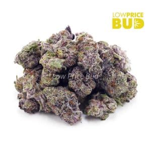Platinum Rockstar (AAAA) – Popcorn Nugs Buy Platinum Rockstar (AAAA) – Popcorn Nugs online Canada