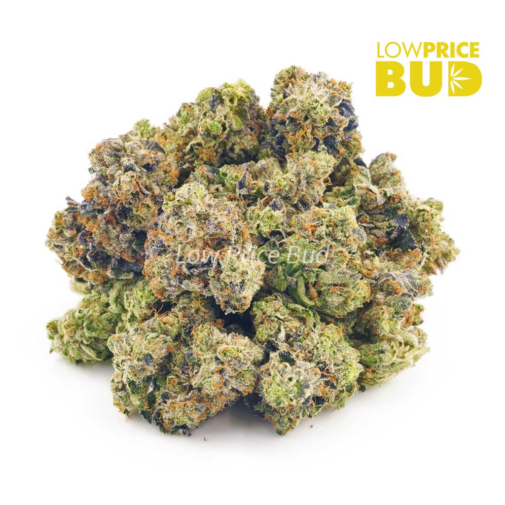 Night Terror OG (AAA) Buy Night Terror OG (AAA) online Canada