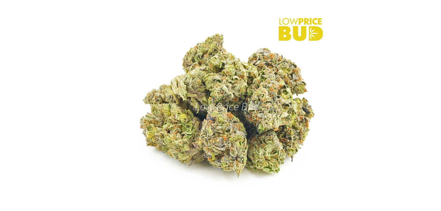 GSC buds. Buy weed and cheap weed vaporizer online in Canada. purple diesel strain, guava cake strain, strawnana strain weed for sale online dispensary.
