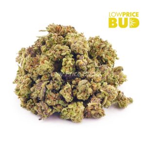 Buy Purple Tropicana (AAAA) – Popcorn Nugs online Canada