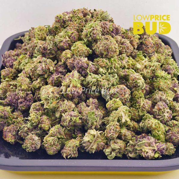 Buy Purple Wreck (AAAA) – Popcorn Nugs online Canada