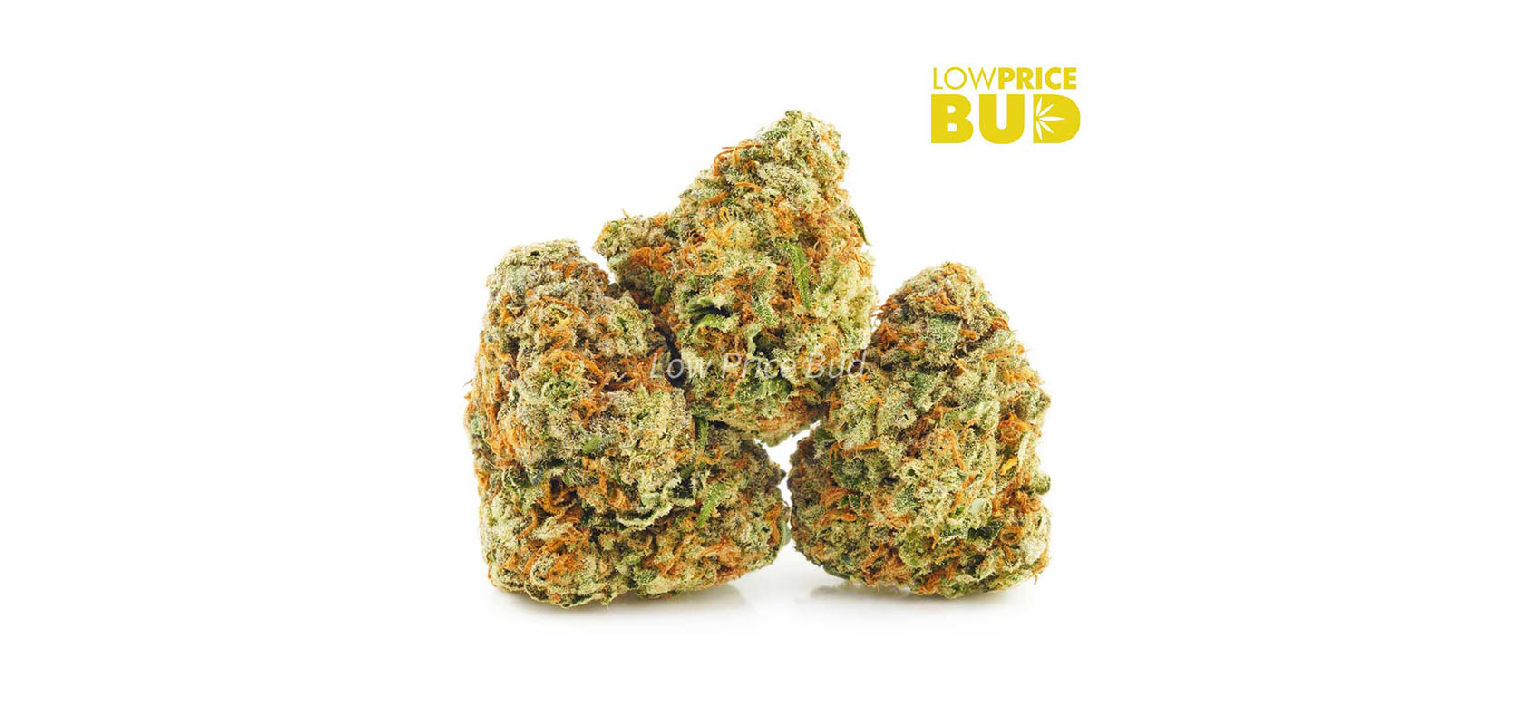 Order weed online Super Lemon Haze AAA weed from low price bud online dispensary and mail order weed online in Canada.
