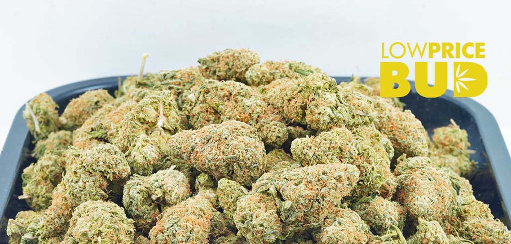 Buy weed AA Pineapple Express strain. weed online canada. order cannabis online. buy weed online.