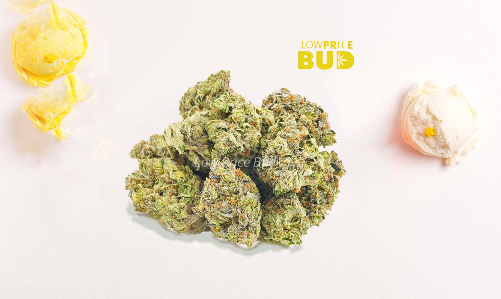 Buy weed Gelato Strain. online dispensary Canada. Mail order marijuana weed online.