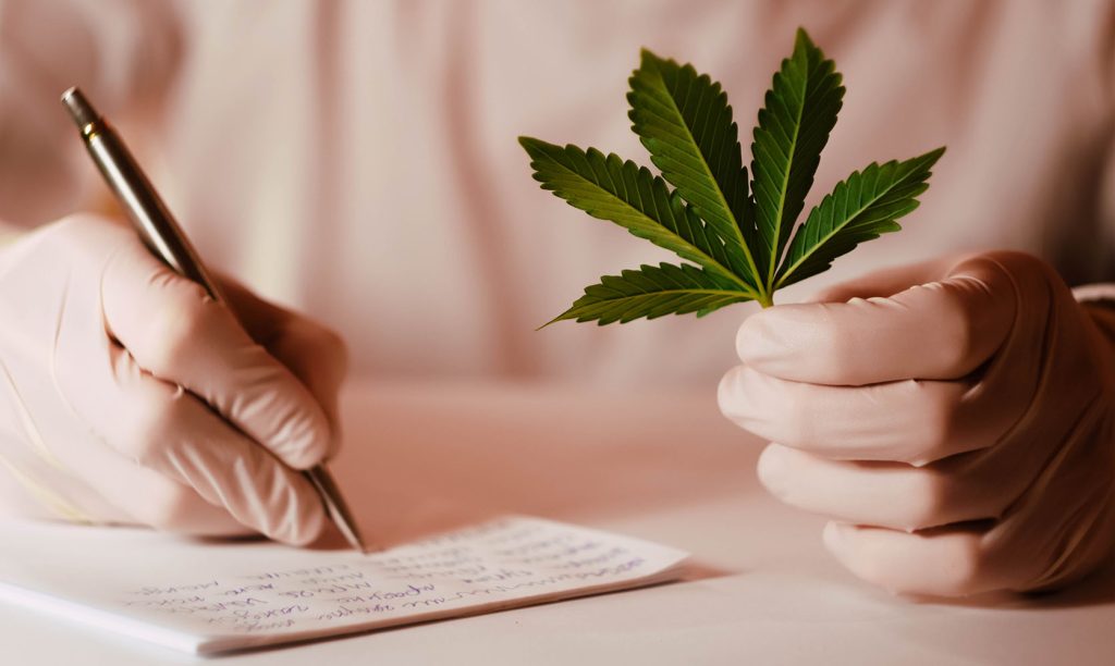 Man holding a cannabis leaf and journaling.