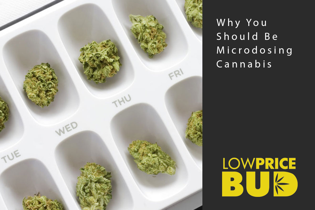 Why You Should Be Microdosing Cannabis - Low Price Bud