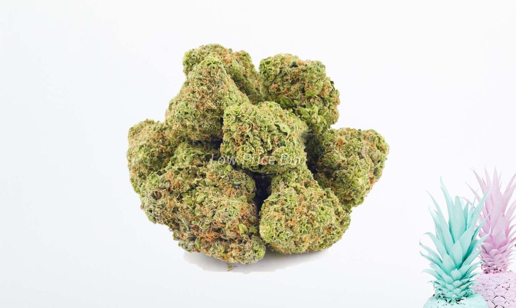 Buy weed online pineapple express stain from Low Price Bud online weed dispensary and mail order marijuana shop.