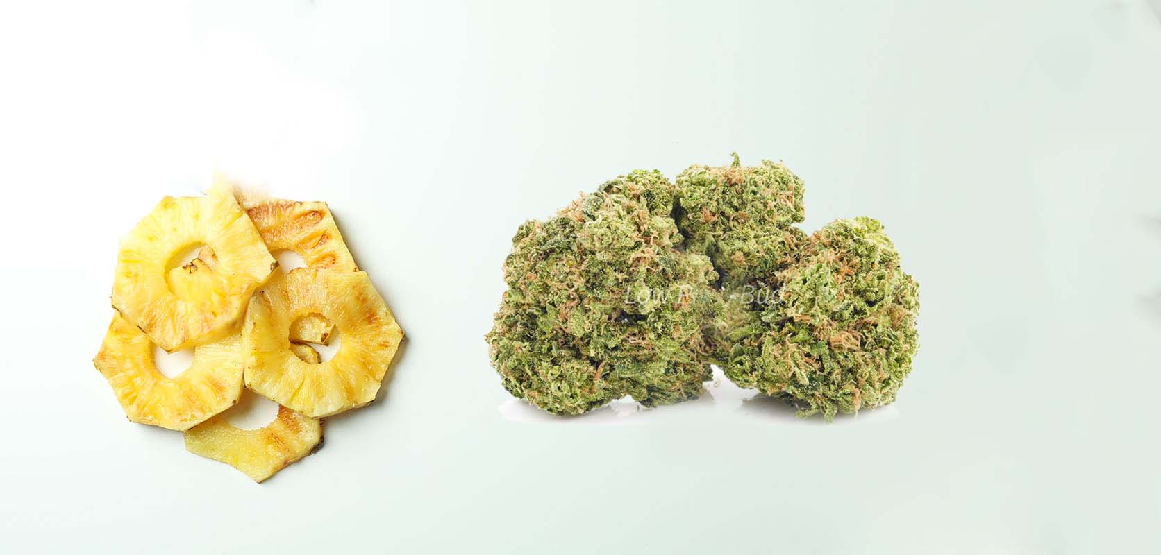Fresh pineapple sliced fruit and a bud of Pineapple Express Strain from online dispensary low price bud. mail order weed online.