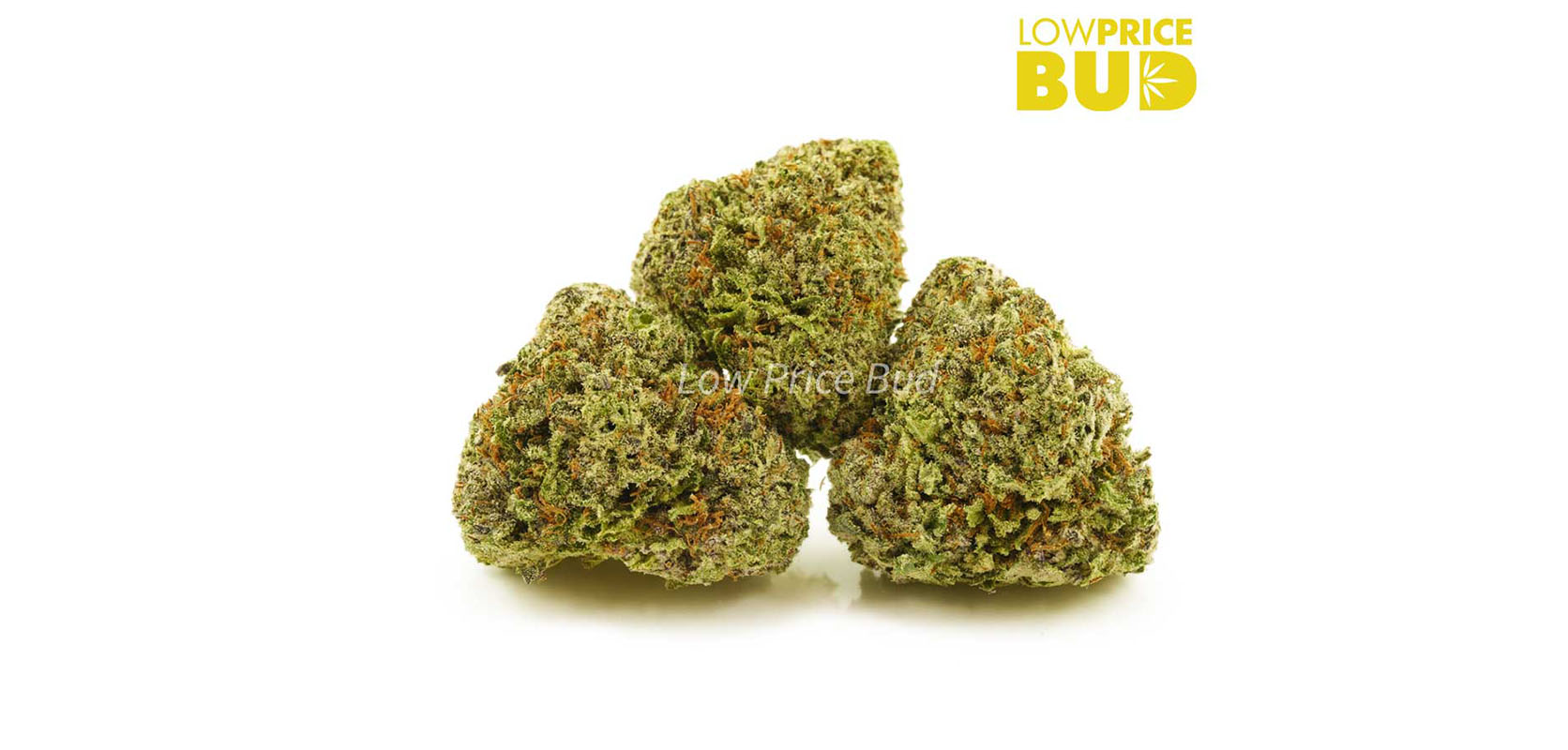 Purple Kush buds and nugs from west coast cannabis online dispensary. buy weed. order weed online.
