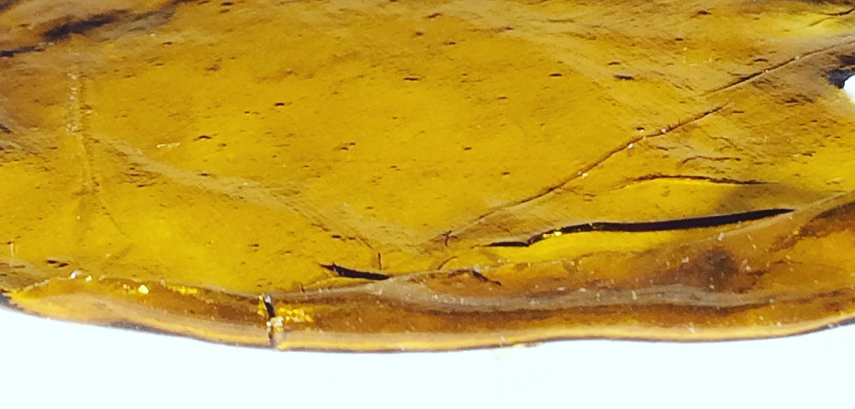 Close up image of shatter, cannabis concentrate wax. What Is Shatter. Buy shatter weed online.