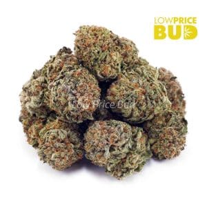 Pink Bubba (AAAA) Buy Pink Bubba (AAAA) online Canada