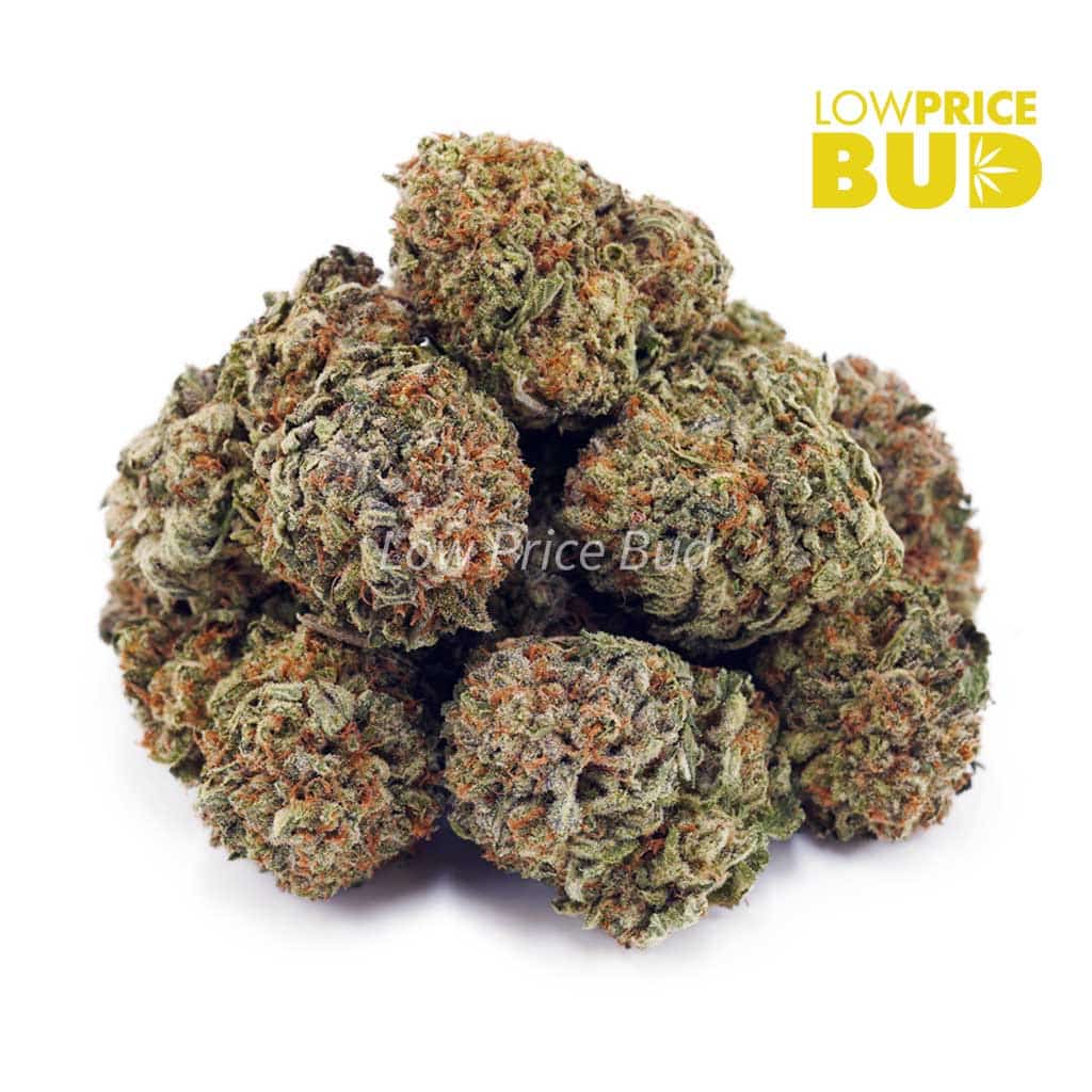 Pink Bubba (AAAA) Buy Pink Bubba (AAAA) online Canada