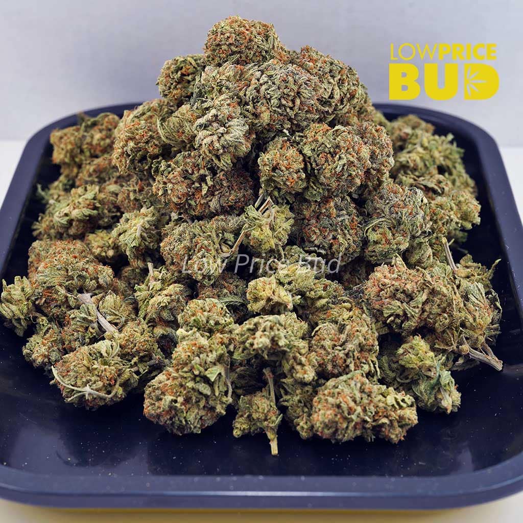 Pink Bubba (AAAA) Buy Pink Bubba (AAAA) online Canada