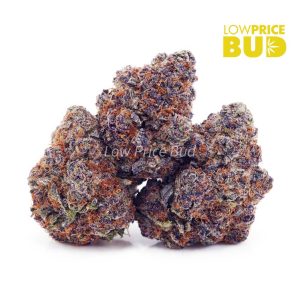 Buy Build Your Own 7g online Canada