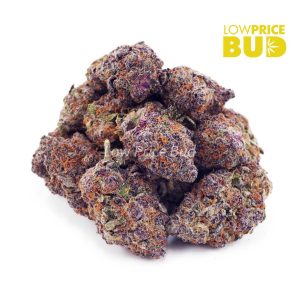 Buy Black Cherry Punch (AAA) online Canada