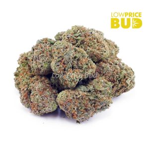 Pineapple Godbud (AAAA) Buy Pineapple Godbud (AAAA) online Canada