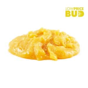 Buy Caviar – Hawaiian Pink Punch online Canada