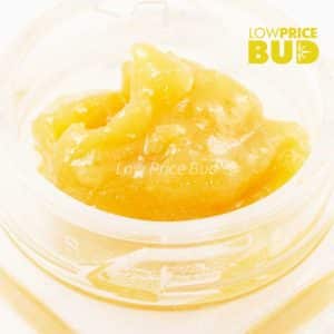 Caviar – Hawaiian Pink Punch Buy Caviar – Hawaiian Pink Punch online Canada