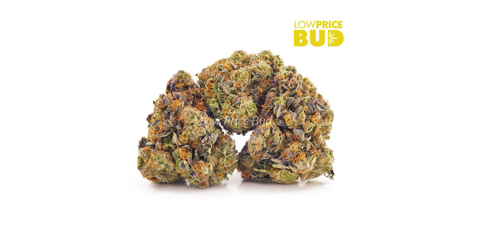 Island sweet skink cannabis strain for sale online from the best mail order marijuana  weed shop for weed online.
