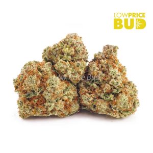 Buy Platinum Gorilla Glue #4 (AAAA) online Canada