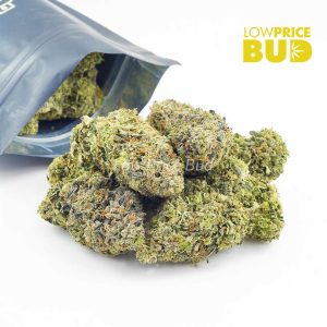 Buy Platinum Pink (AAAA) BY GASLEAK online Canada