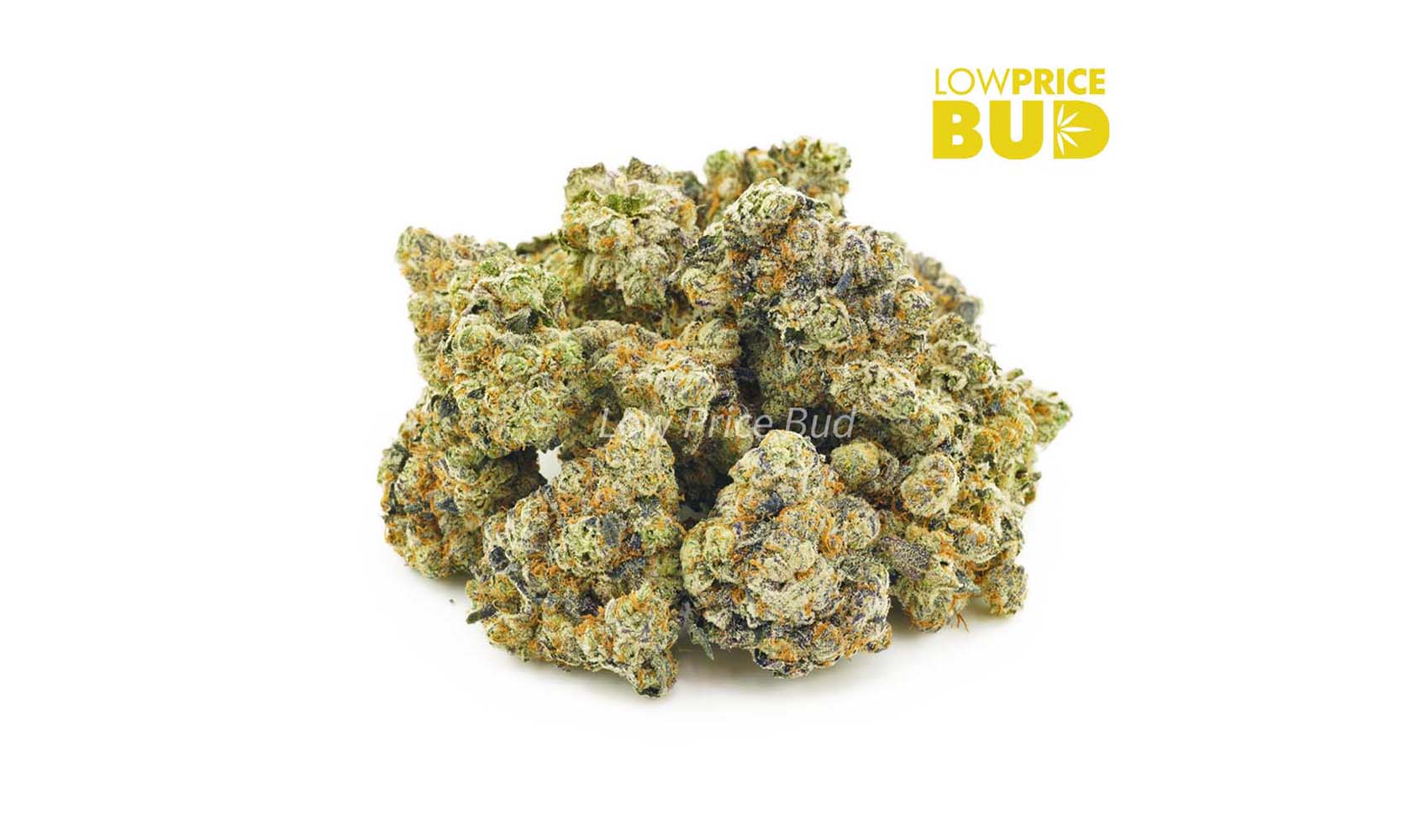 Buy weed Pug’s Breath strain online in Canada. Buying weed online. Buy shatter online.