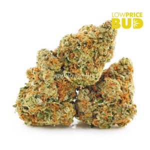Buy Sherbet Cookies (AAAA) online Canada