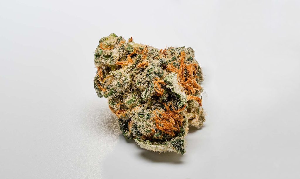 Sweet OG Kush cannabis bud close up. Sweet OG Kush strain review