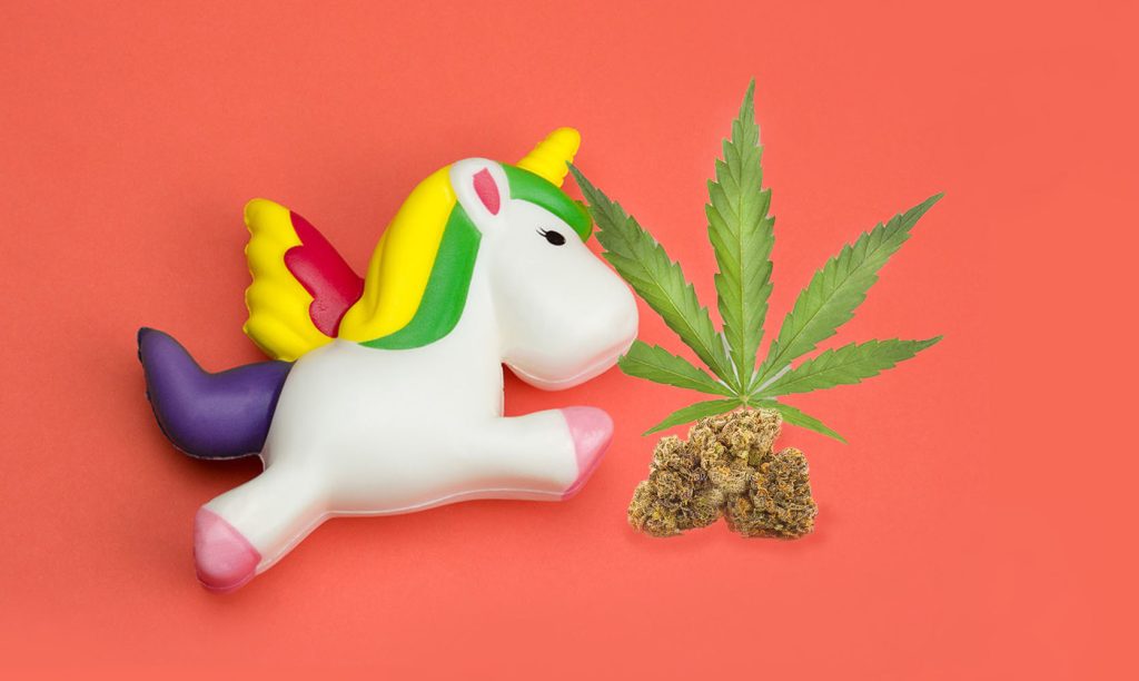 Toy unicorn next to cannabis leaf and weed buds. Unicorn Horn Strain Review.