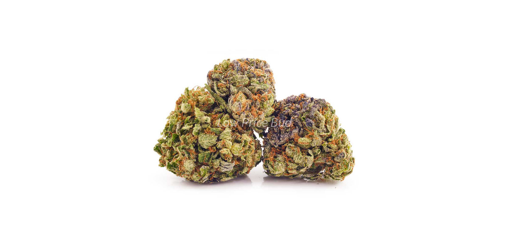 Buy weed Blueberry Rockstar strain from Low Price Bud online dispensary mail order marijuana pot shop.
