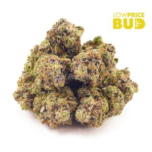 Buy Blue Magoo Cookies (Craft Cannabis) online Canada