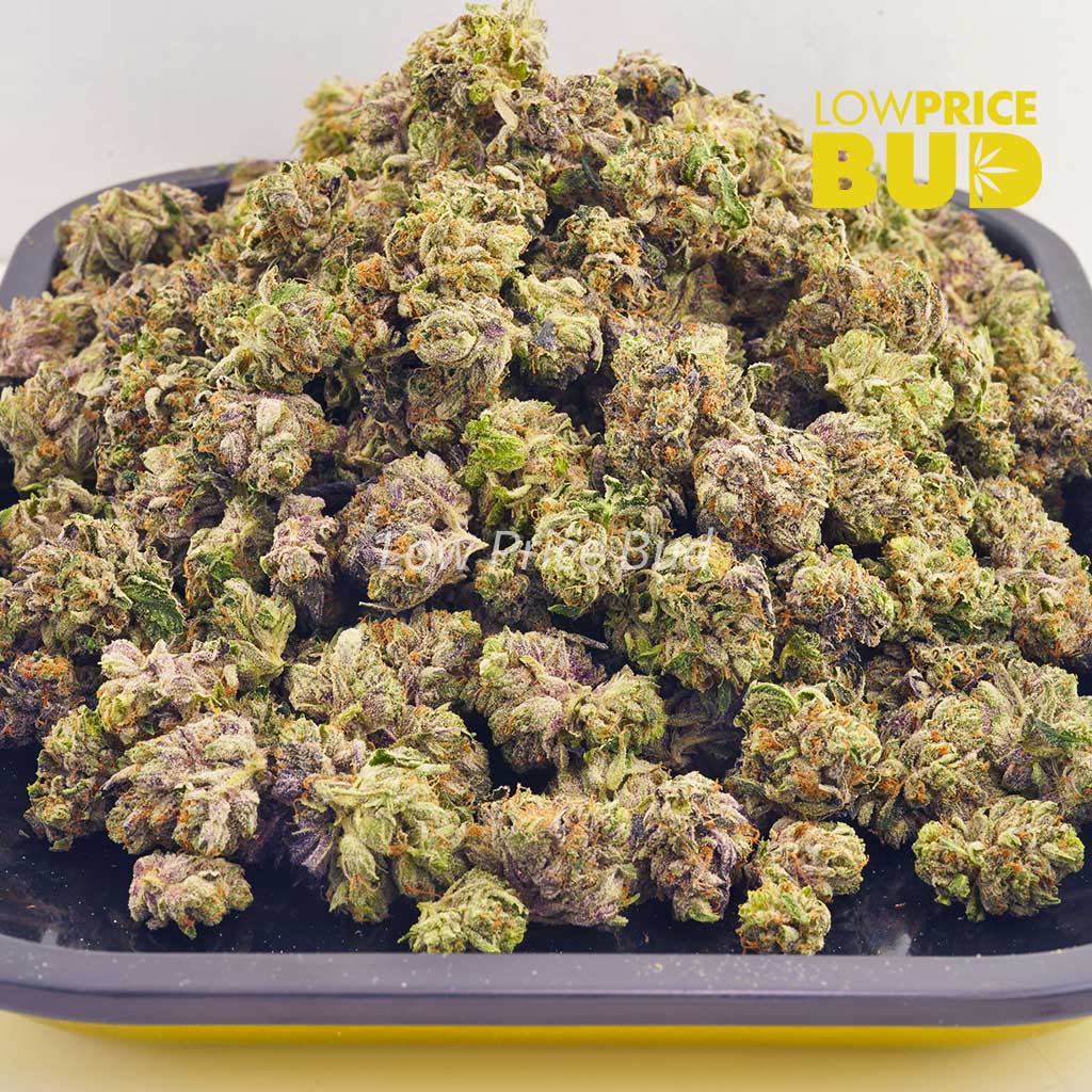 Bubba Gum (AAAA) – Popcorn Nugs Buy Bubba Gum (AAAA) – Popcorn Nugs online Canada