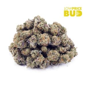 Tutti Frutti (AAAA) – Popcorn Nugs Buy Tutti Frutti (AAAA) – Popcorn Nugs online Canada