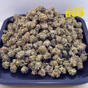 Tutti Frutti (AAAA) – Popcorn Nugs Buy Tutti Frutti (AAAA) – Popcorn Nugs online Canada
