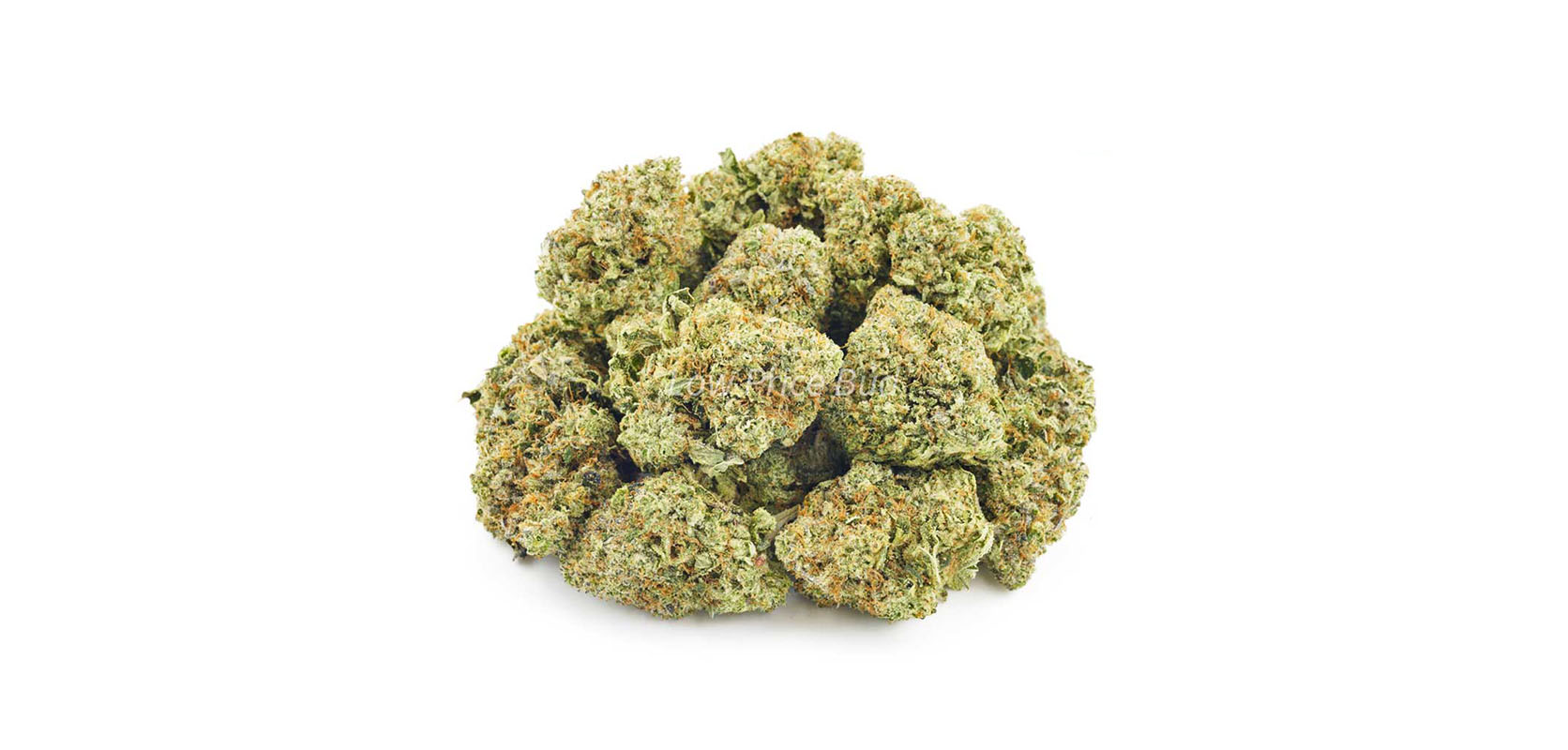Hindu Skunk weed online from Low Price Bud budget ounces of cheap weed online in Canada.