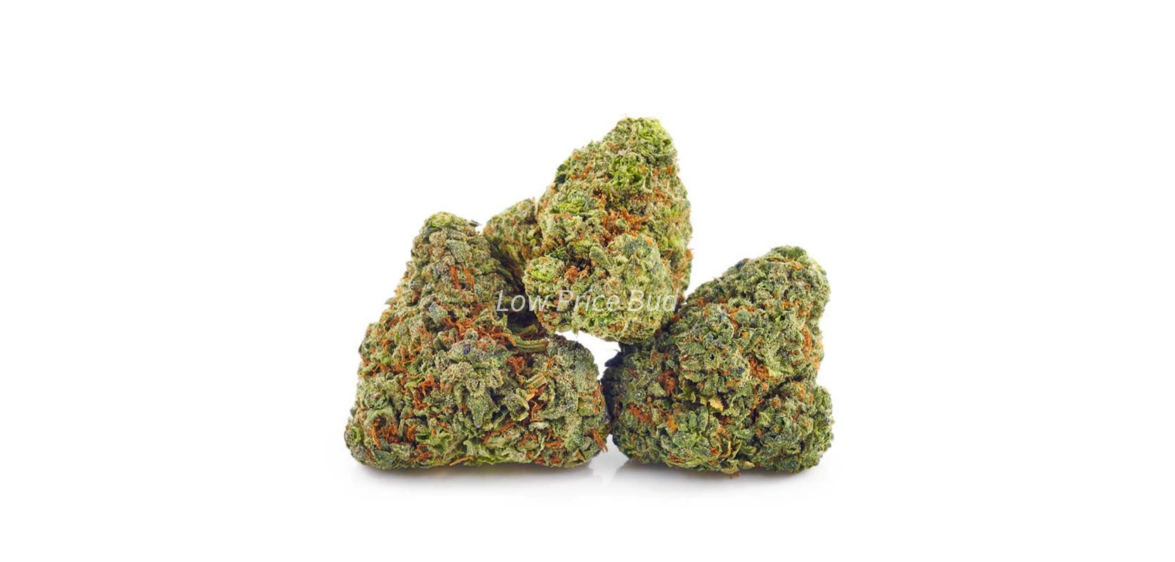 Honey Badger buds. Buy weed online from BC Cannabis online dispensary Low Price Bud.