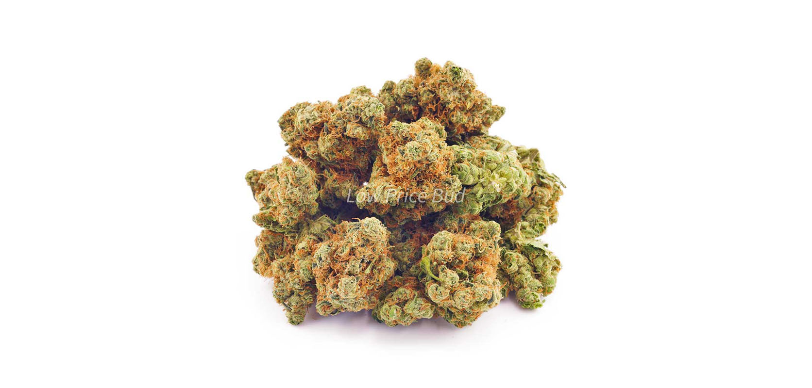 Key Lime Pie weed for sale. BudgetBuds of weed online. Where to buy weed online in Canada. 