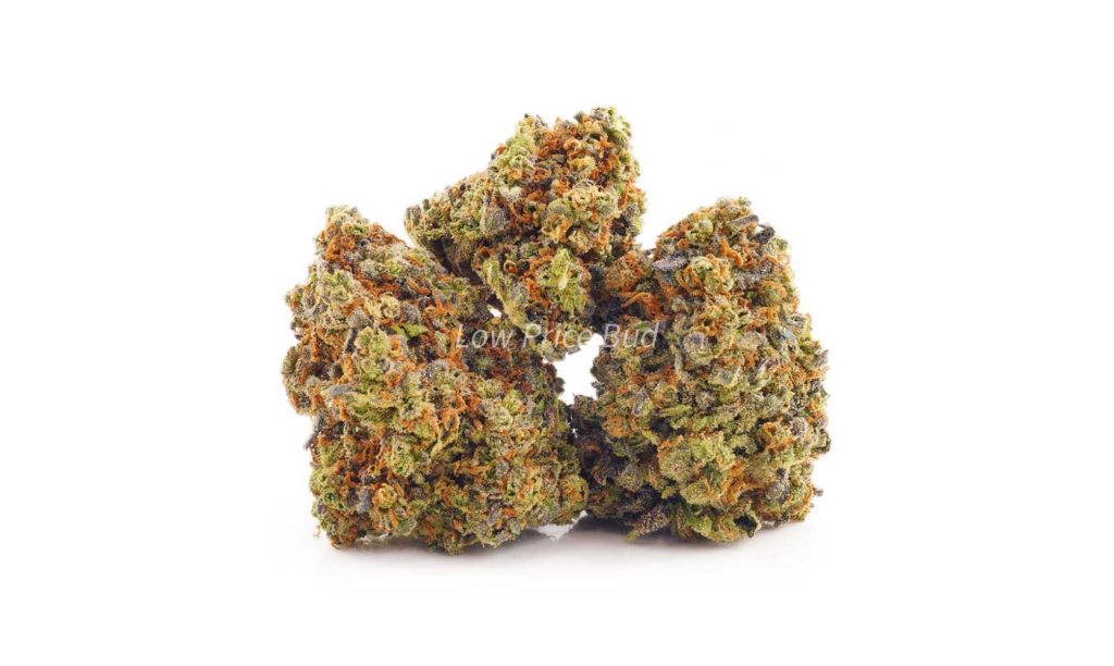 Lemon Sour Diesel buds from online weed dispensary for cheapweed canada.