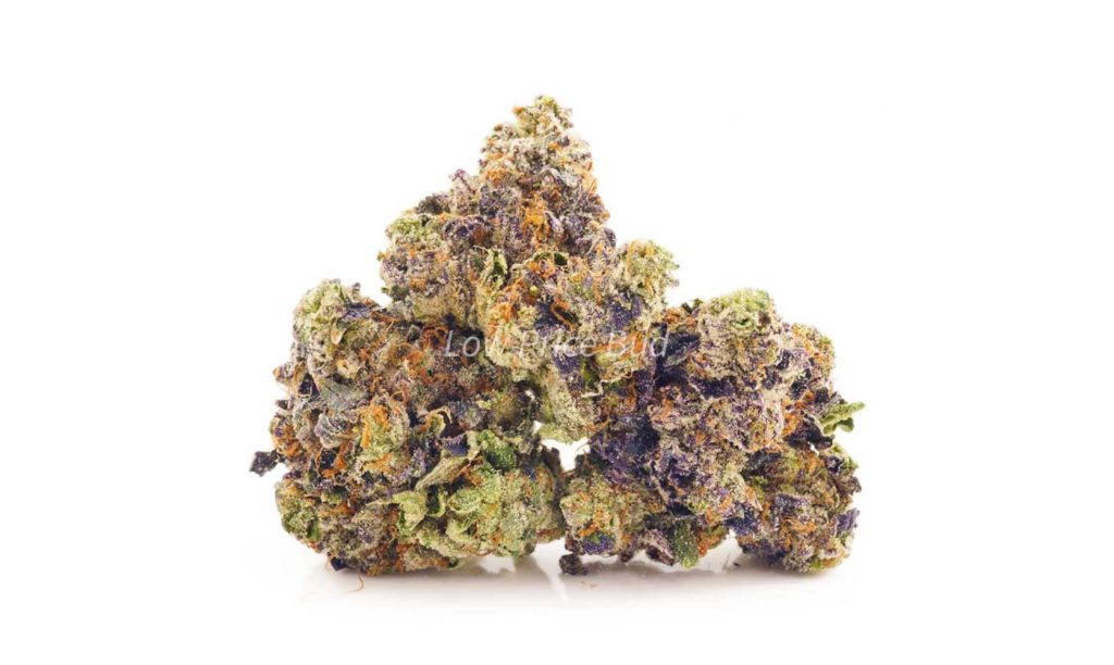 Pink Bubba strain weed online from low price bud cannabis canada online dispensary to buy weed online.