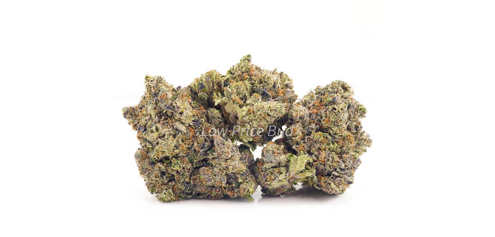 Pink Rob Ford weed online from Low Price Bud online dispensary to order weed online in Canada.